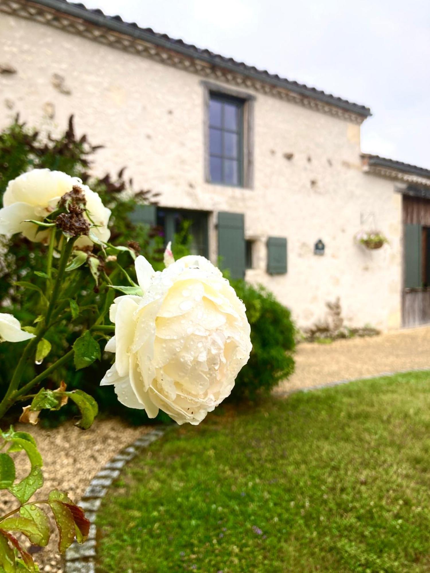 La Ferme Buissonniere Bed and Breakfast Bardou Exteriör bild