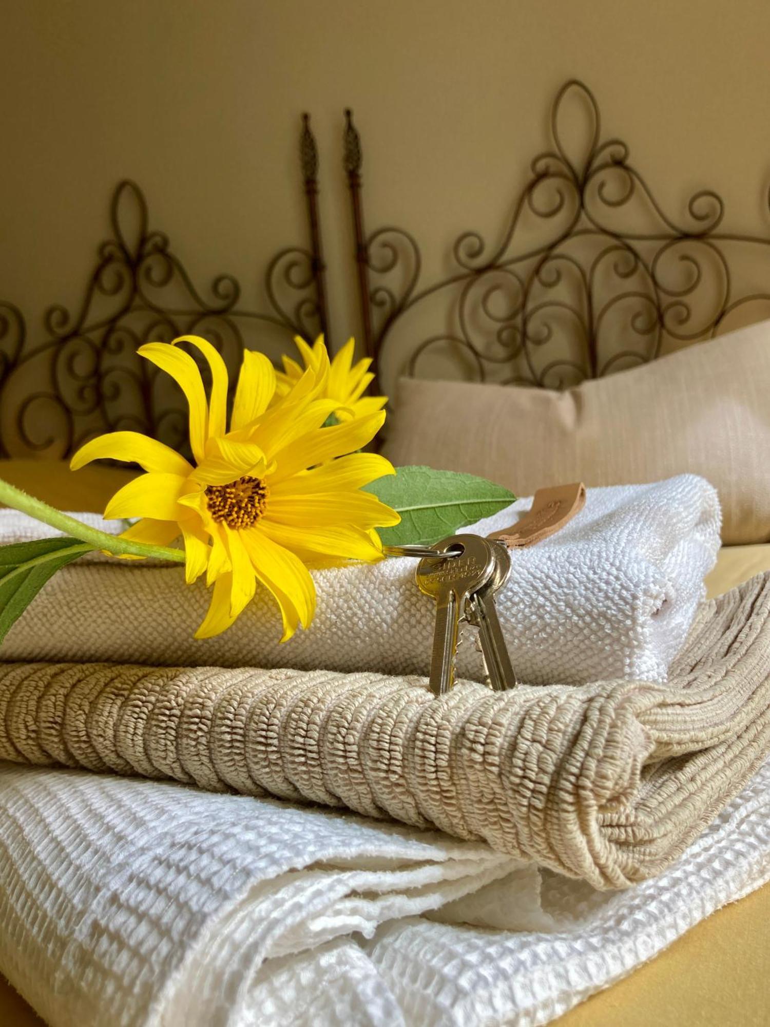 La Ferme Buissonniere Bed and Breakfast Bardou Exteriör bild